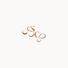 caligraphic style monogram luxury minimalist logo design CS wedding initial concept letter