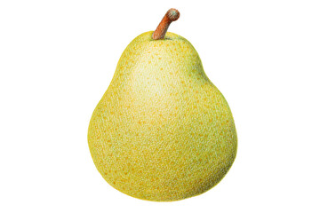 色鉛筆で描いた洋梨