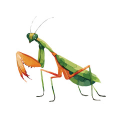 Watercolor Praying Mantis in Profile Vivid Green and Orange Hues