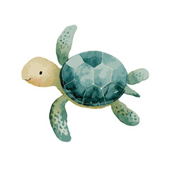 Watercolor Sea Turtle with Teal Shell and Pale Head