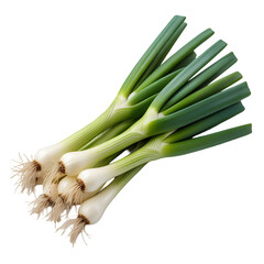 Fresh green onions with roots, vibrant and healthy, ready for culinary creations