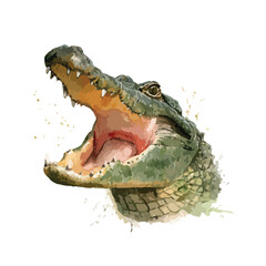 Obraz premium A Detailed Watercolor Illustration of a Crocodiles Head Open Jaw