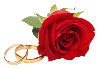 PNG Rings rose jewelry wedding.