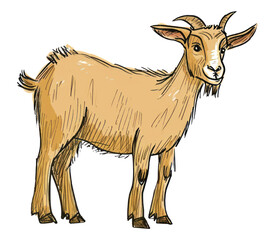 Obraz premium PNG Livestock mammal standing kangaroo.