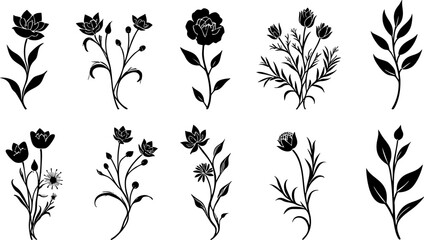 Black Floral Ornament Silhouette Collection