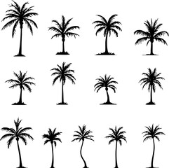 Palm Tree and Bare Tree Silhouette Set