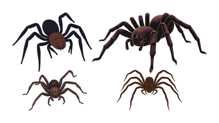 spider set with transparent background
