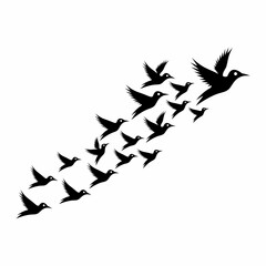 Bird flying silhoutte set.