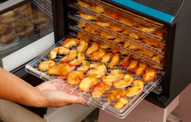 Person is holding a tray of apples in front of a dehydrator