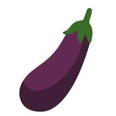 Fresh purple eggplant with green stem, healthy vegetable illustration isolated on white background for food design.
