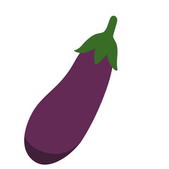 Illustration of purple eggplant vegetable, representing organic farming, healthy nutrition, fresh harvest, cooking ingredient, and vegetarian diet.