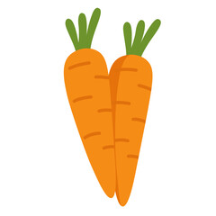 Two fresh carrots illustration, healthy organic vegetable, farm harvest, orange root crop, natural food, diet and nutrition.
