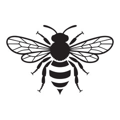 black bee on white background