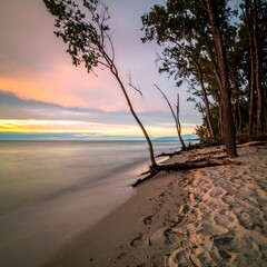 Tropical beach at sunset with trees and calm ocean waves.