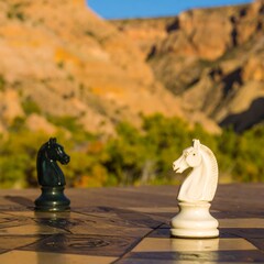 Two Chess Knights Facing Each Other on a Chessboard in a Natural Landscape.