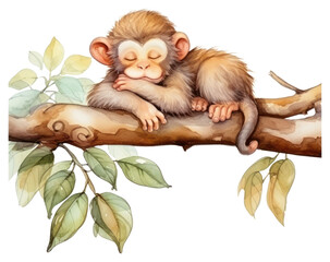 Obraz premium PNG Watercolor monkey sleeping animal wildlife cartoon.