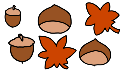 Autumn leaves and nuts collection 
