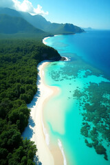 Aerial View of Tropical Beach with Lush Green Forest