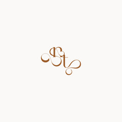 caligraphic style monogram luxury minimalist logo design TN wedding initial concept letter