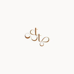 caligraphic style monogram luxury minimalist logo design TT wedding initial concept letter