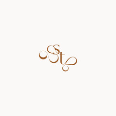 caligraphic style monogram luxury minimalist logo design TS wedding initial concept letter