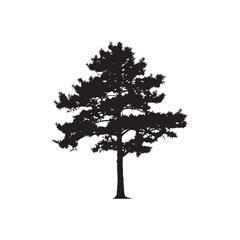 Cedar Vector (1).eps