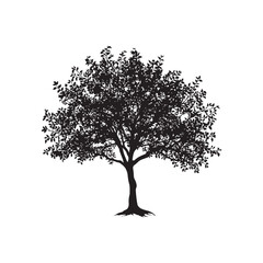 Dogwood Vector  (6).eps