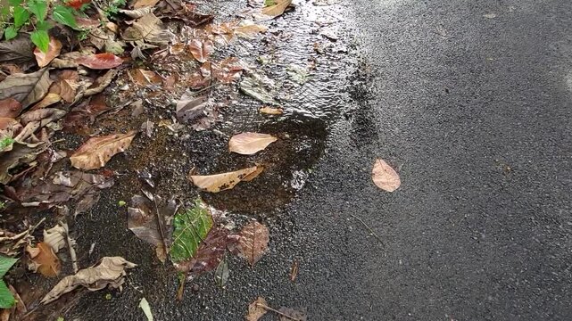 underground water pipe leakage gue to poor maintanance in a tar road