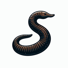 leech vector illustration 