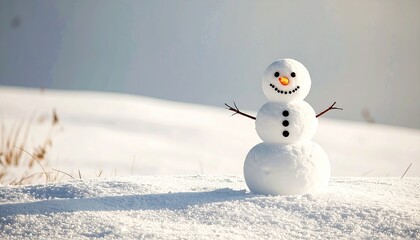 可愛い雪だるま
