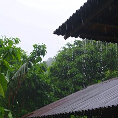 Rain dripping from a dark corrugated roof