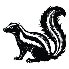 vector image of a squirrel