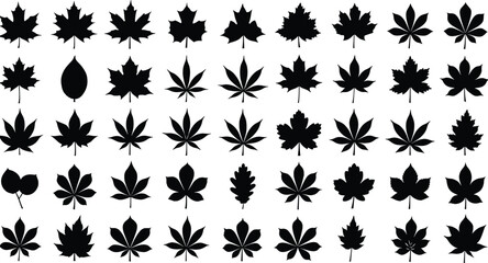 Collection of various black leaf silhouettes isolated on white background, vector illustration set for botanical design, autumn nature, decorative artwork.