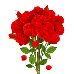 red rose isolated on white