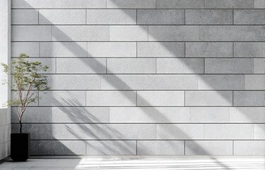 Light-filled room with a light gray tiled wall and plant