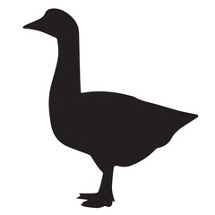 Vector illustration of a wild goose isolated on a white background with a beak and feather design