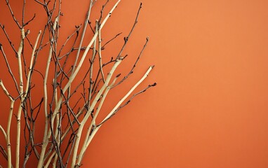 Twigs branch out over a vibrant orange backdrop, minimalist, natural, and warm