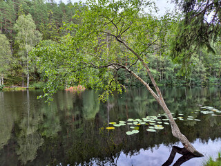 Lake