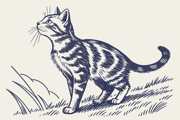 American Shorthair Cat Etching Style Sketch