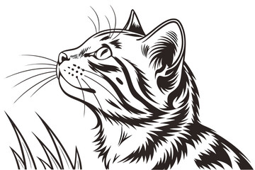 Artistic Ink Illustration of American Shorthair Cat