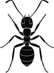 Black Ant Silhouette Illustration Detailed Insect Anatomy Vector Image Featuring Antennae Legs and Body Segments Representing Entomology and Wildlife Studies