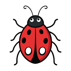 ladybug on white background