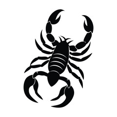 scorpion vector icon on white background