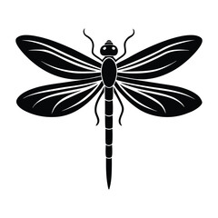 dragonfly vector illustration