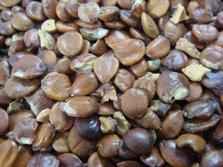 Ziziphus jujuba var. spinosa (Sanjaoin), a traditional seed medicine for insomnia, anxiety, memory support, and calming effects