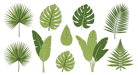 Tropical Foliage Variety: Hand-Drawn Botanical Collection of Exotic Leaves Depicting Natural Greenery and Lush Vegetation, Isolated on White Backdrop
