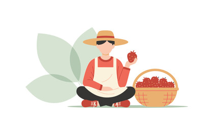 Strawberry Picker Sits With Harvest, Showing Off Juicy Fruit On White Background