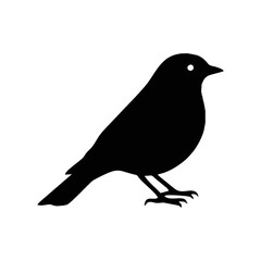 vector collection of bird silhouettes in various styles and types