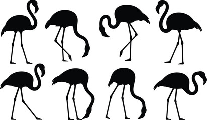 Black Flamingo Silhouettes Set in Various Poses Vector Illustration for Tropical Design, Nature Art, Wildlife Decor, and Graphic Projects