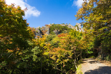 Naklejka premium 日本の風景・秋 香川県小豆島 紅葉の寒霞渓 錦屏風（表十二景）